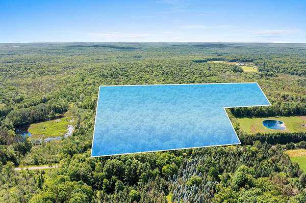 33.5 Acres of Recreational & Residential Land for Sale in Tigerton, Wisconsin