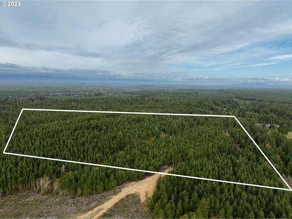 40 Acres of Land for Sale in Shelton, Washington