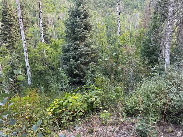 0.56 Acres of Residential Land for Sale in Mount Pleasant, Utah