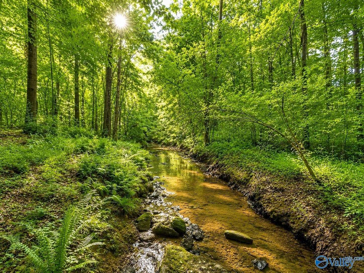 58.5 Acres of Land for Sale in Arab, Alabama