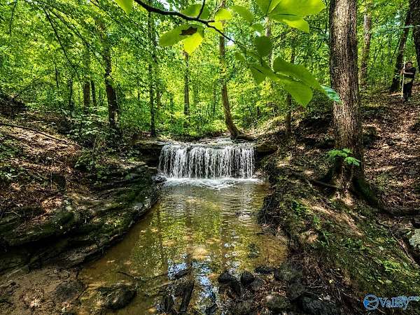 58.5 Acres of Land for Sale in Arab, Alabama