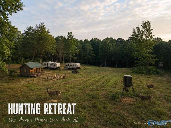 58.5 Acres of Land for Sale in Arab, Alabama