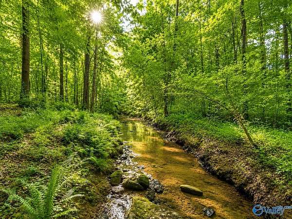 58.5 Acres of Land for Sale in Arab, Alabama