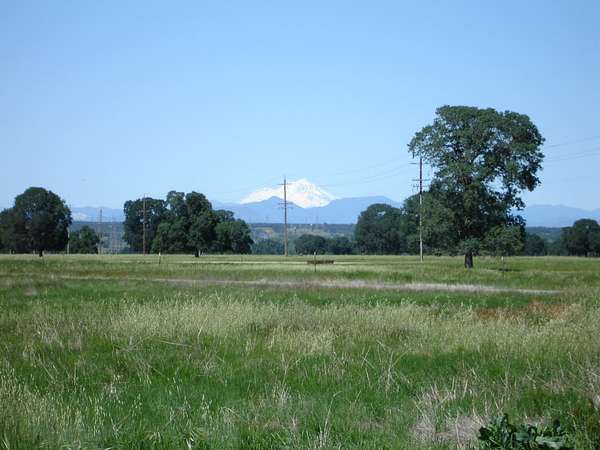 13.6 Acres of Land for Sale in Cottonwood, California