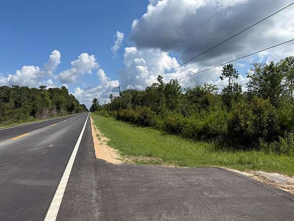 54.9 Acres of Recreational & Residential Land for Sale in Statenville, Georgia