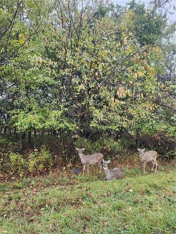0.19 Acres of Residential Land for Sale in Linn Valley, Kansas