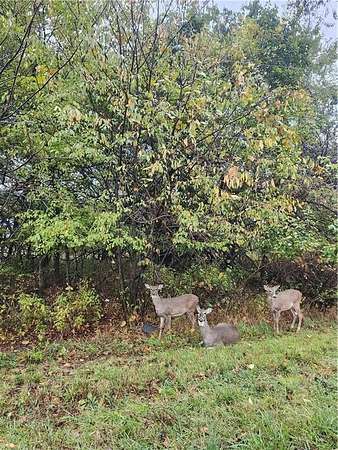 0.19 Acres of Residential Land for Sale in Linn Valley, Kansas