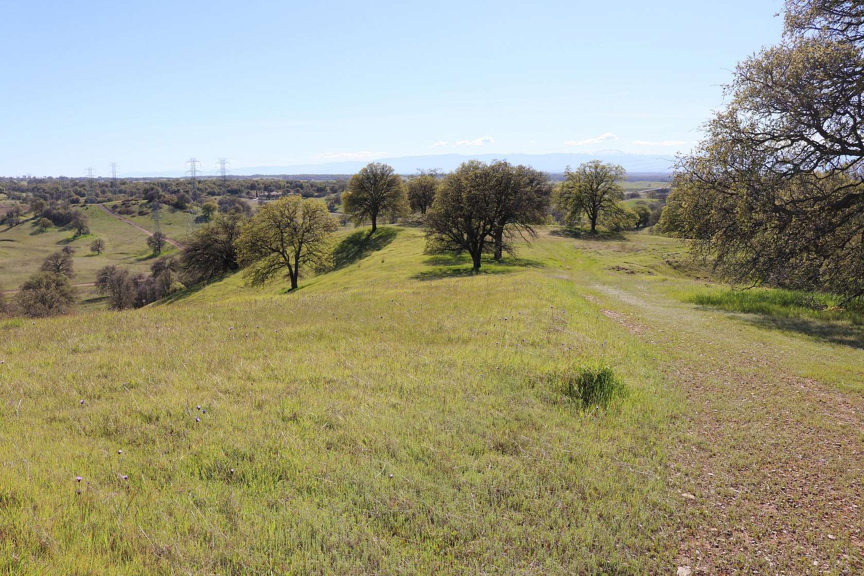 19.5 Acres of Land for Sale in Cottonwood, California
