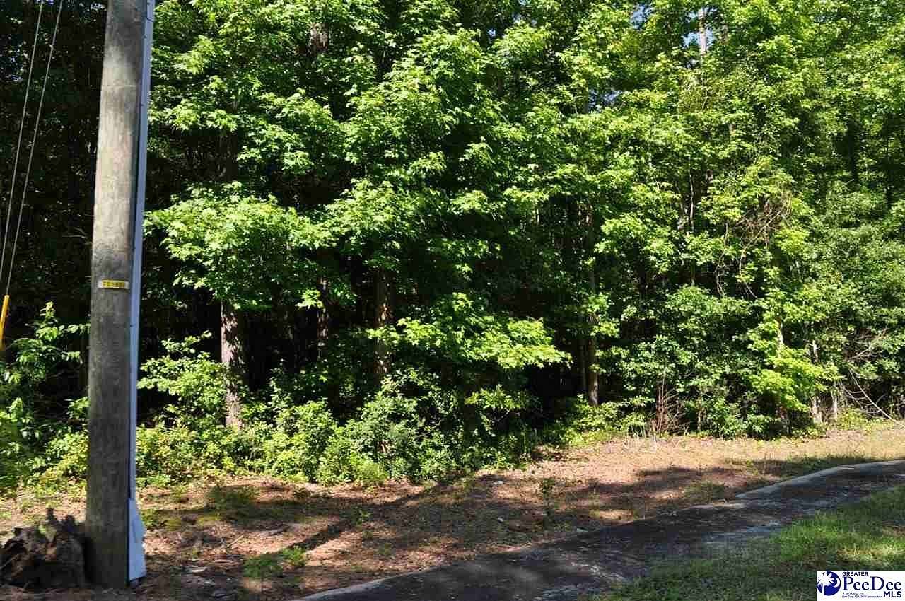 4.39 Acres of Residential Land for Sale in Clio, South Carolina