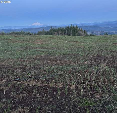 2.44 Acres of Land for Sale in Castle Rock, Washington