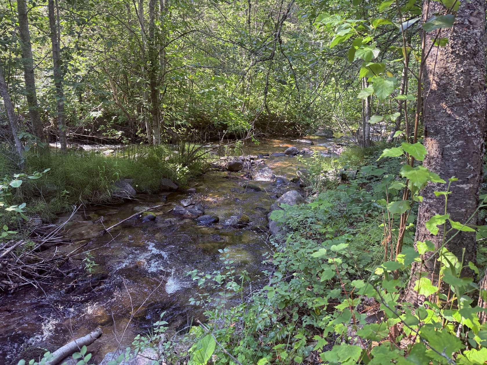 2.66 Acres of Land with Home for Sale in Kettle Falls, Washington