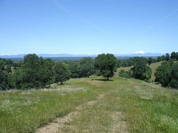 17.6 Acres of Land for Sale in Cottonwood, California