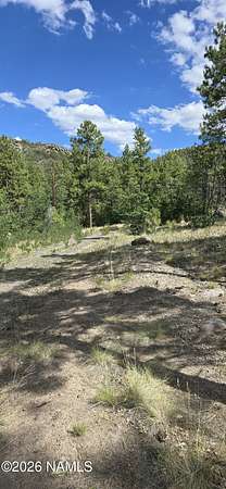 193 Acres of Land for Sale in Williams, Arizona