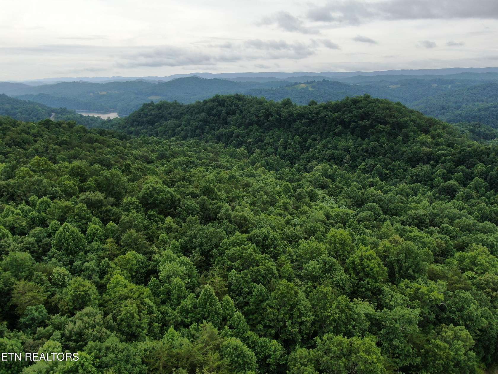 3.4 Acres of Residential Land for Auction in New Tazewell, Tennessee