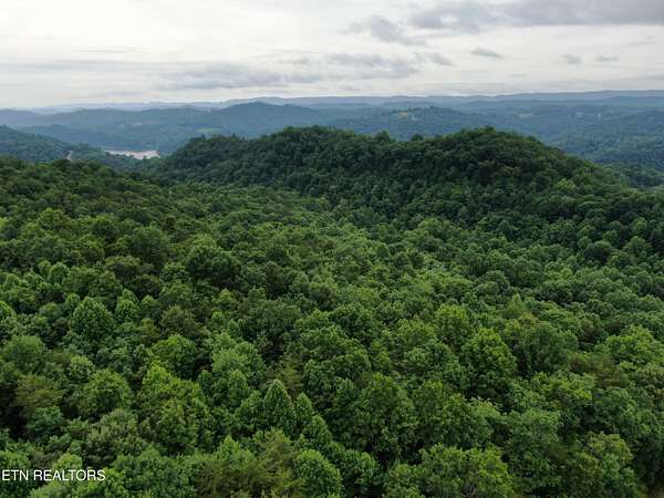 3.4 Acres of Residential Land for Auction in New Tazewell, Tennessee