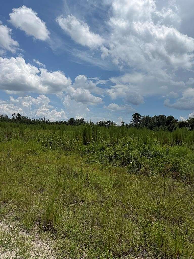 80 Acres of Land for Sale in Valdosta, Georgia