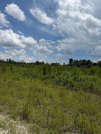 80 Acres of Land for Sale in Valdosta, Georgia