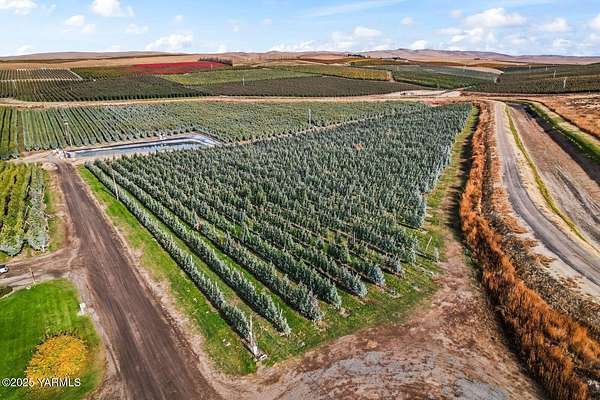 62 Acres of Agricultural Land for Sale in Zillah, Washington