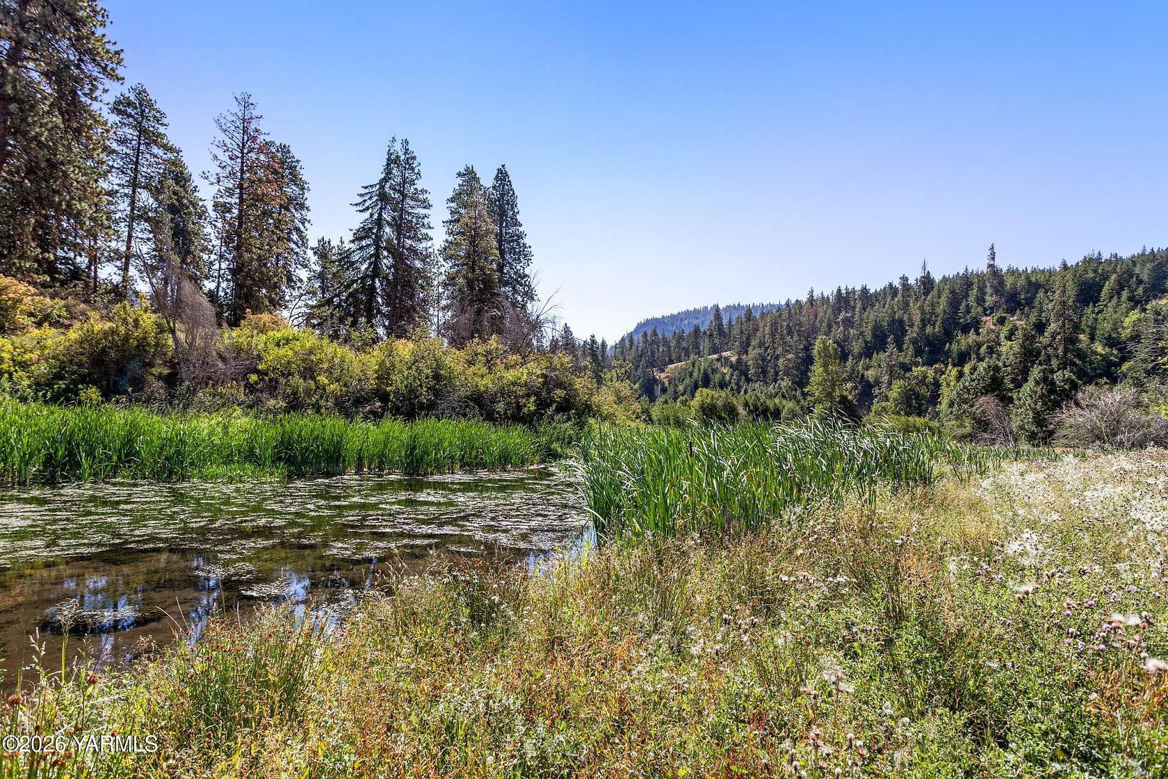 14.6 Acres of Recreational Land for Sale in Naches, Washington