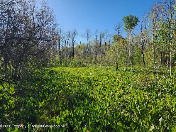 14 Acres of Recreational & Residential Land for Sale in Craig, Colorado