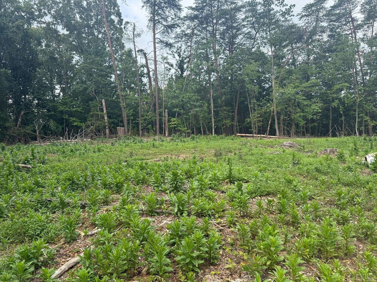 2.8 Acres of Commercial Land for Sale in Evington, Virginia