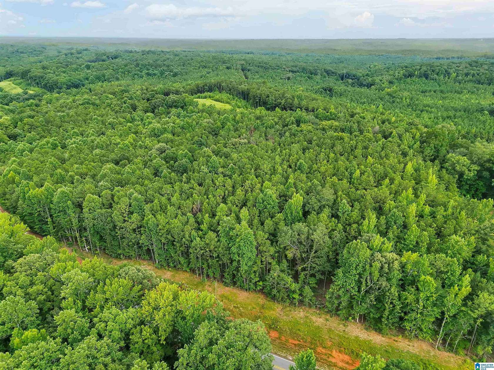 20 Acres of Recreational & Residential Land for Sale in Verbena, Alabama