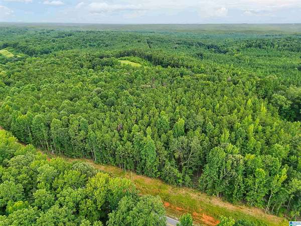 20 Acres of Recreational & Residential Land for Sale in Verbena, Alabama