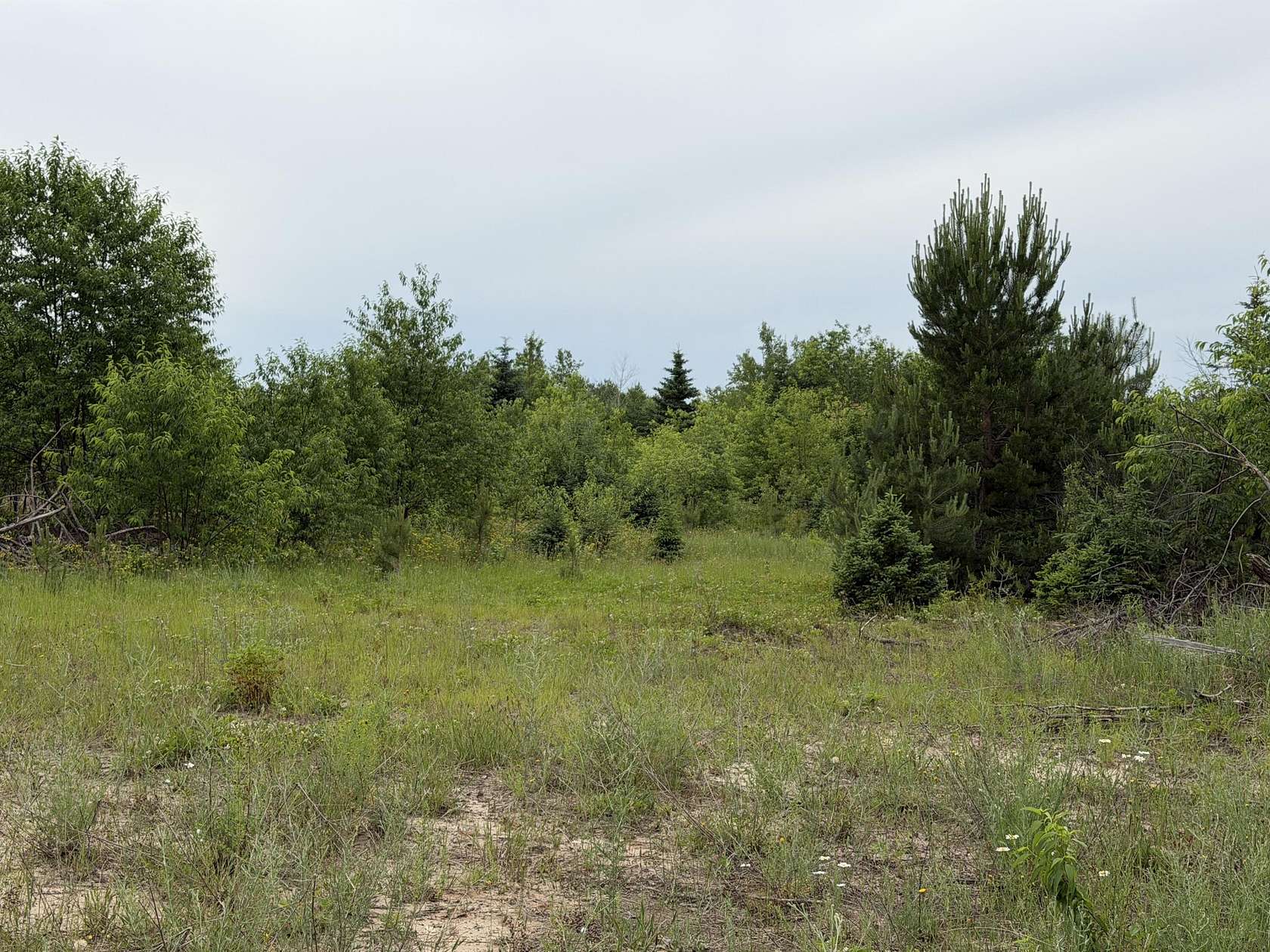 3 Acres of Land for Sale in Newberry, Michigan