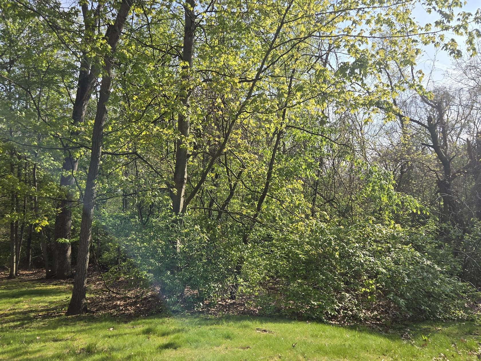 0.54 Acres of Residential Land for Sale in Michigan City, Indiana