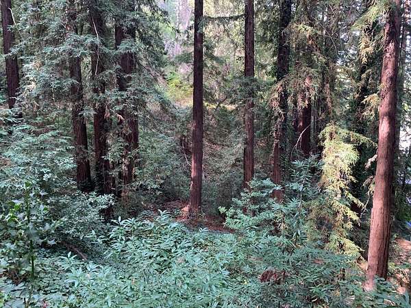 1 Acre of Residential Land for Sale in Los Gatos, California