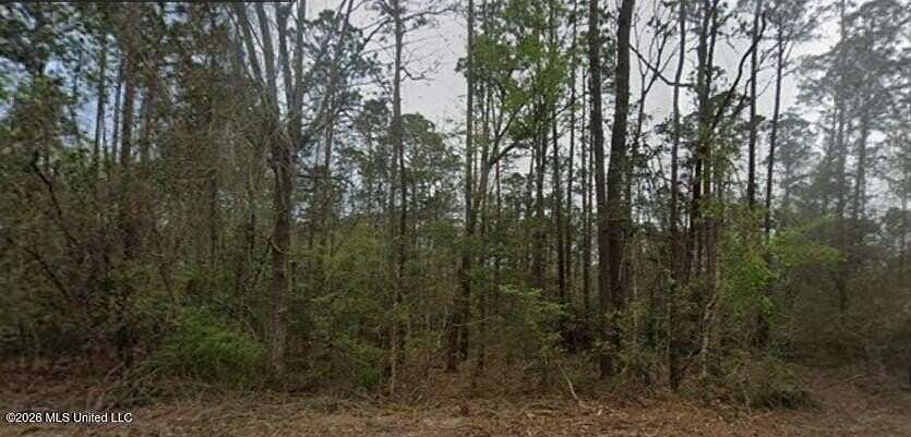 0.55 Acres of Residential Land for Sale in Diamondhead, Mississippi