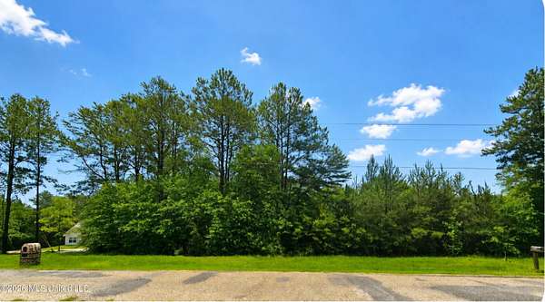 4.2 Acres of Residential Land for Sale in Perkinston, Mississippi