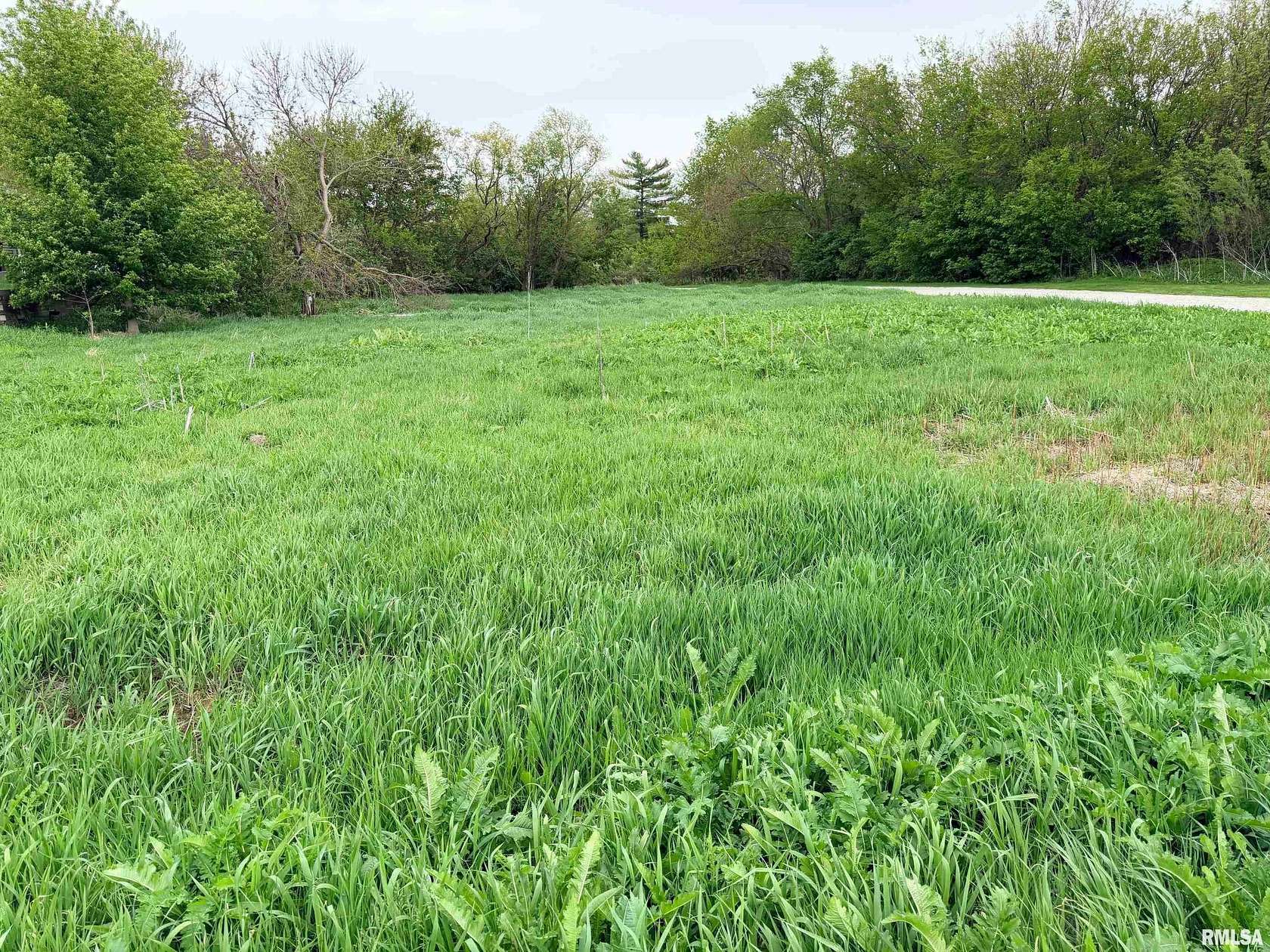 0.32 Acres of Residential Land for Sale in Peoria, Illinois