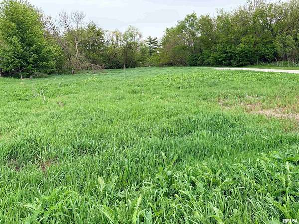 0.32 Acres of Residential Land for Sale in Peoria, Illinois