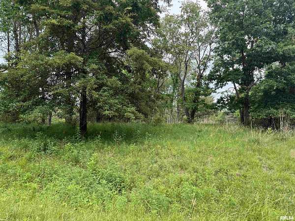 0.34 Acres of Residential Land for Sale in Dahinda, Illinois