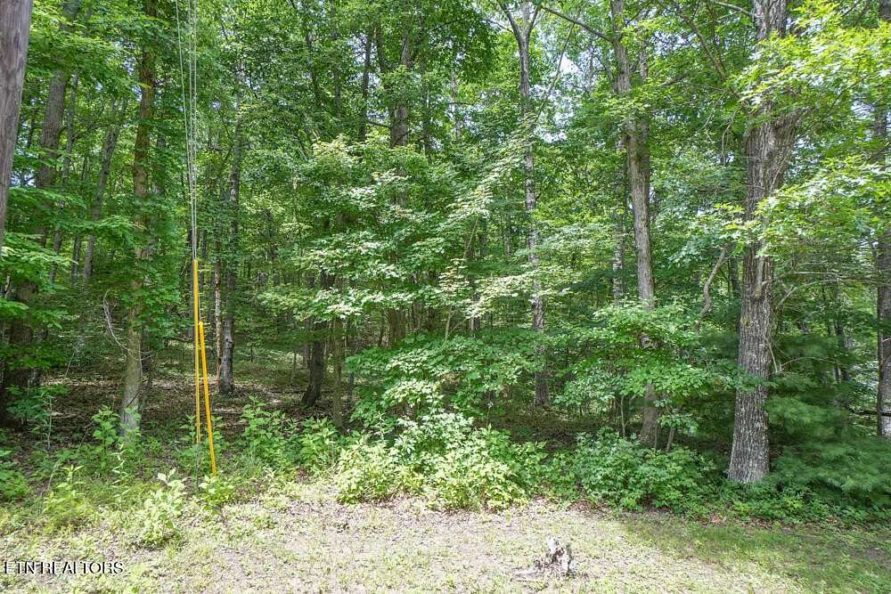 0.38 Acres of Residential Land for Sale in Tallassee, Tennessee