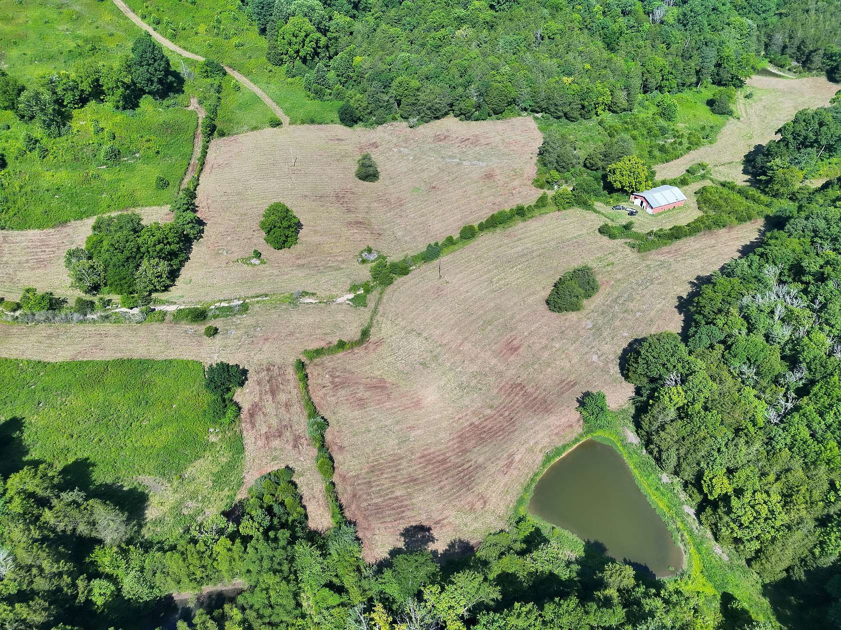 300 Acres of Land for Sale in Whitleyville, Tennessee
