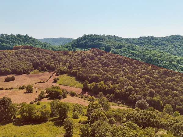 300 Acres of Land for Sale in Whitleyville, Tennessee