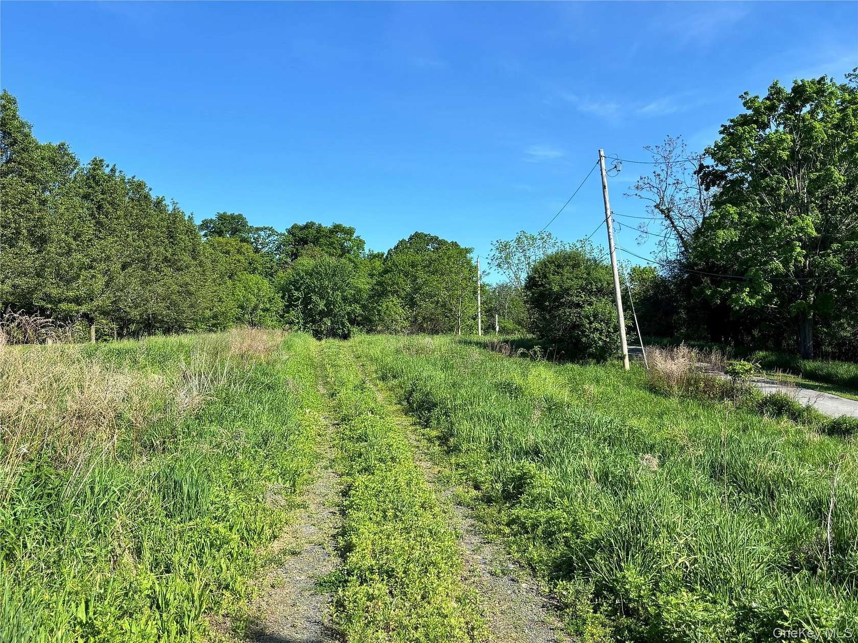 72 Acres of Recreational & Residential Land for Sale in Westtown, New York