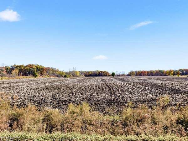 18.7 Acres of Land for Sale in North Street, Michigan