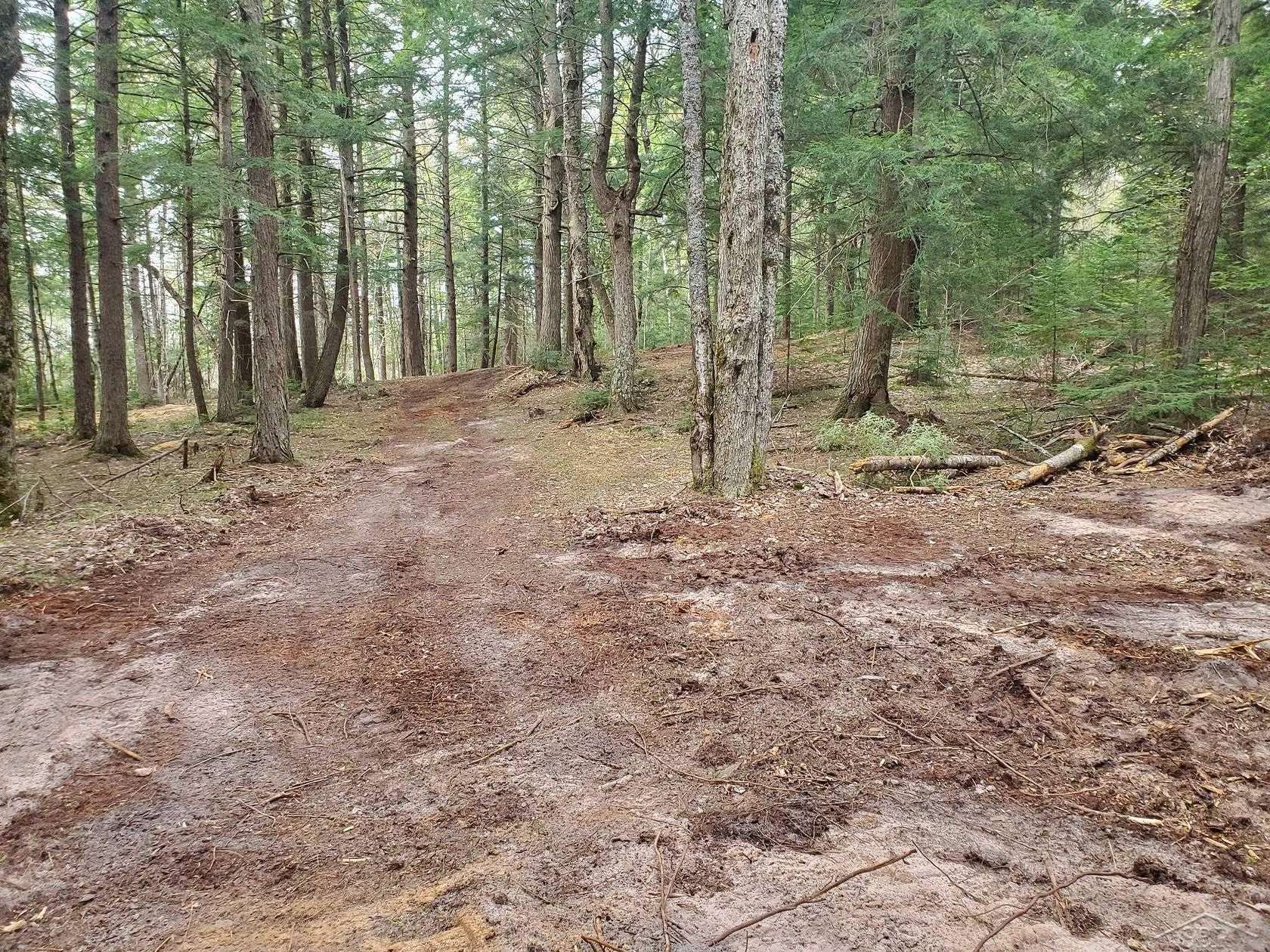 12.6 Acres of Recreational & Residential Land for Sale in Au Train Township, Michigan