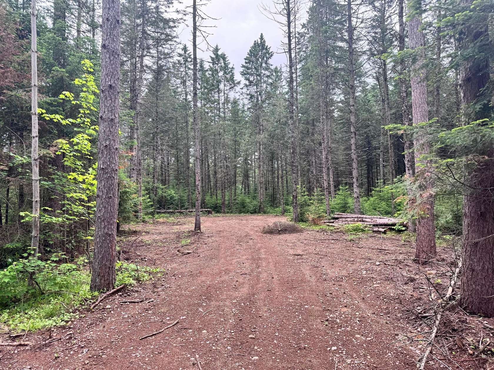18.6 Acres of Land for Sale in Minocqua, Wisconsin