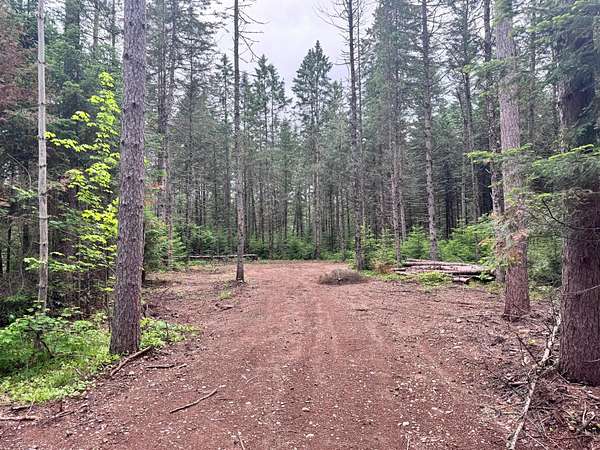 18.6 Acres of Land for Sale in Minocqua, Wisconsin
