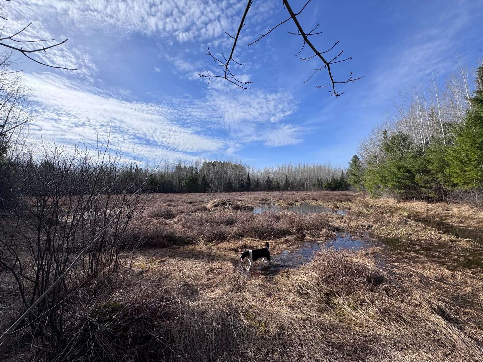 268 Acres of Recreational Land for Sale in Minocqua, Wisconsin
