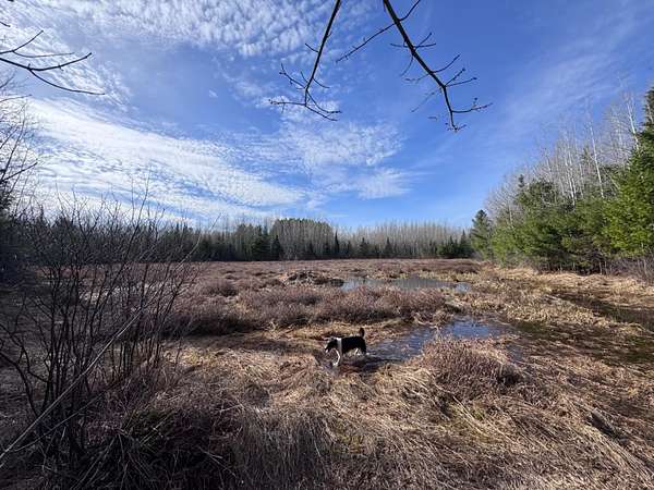 268 Acres of Recreational Land for Sale in Minocqua, Wisconsin