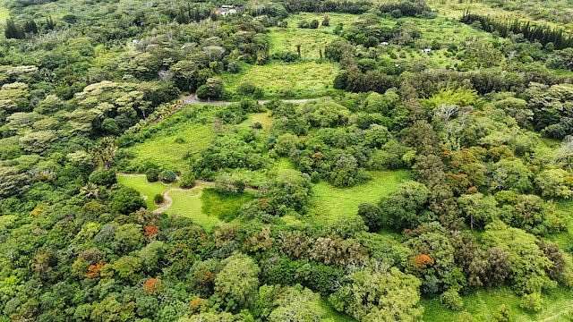 2 Acres of Residential Land for Sale in Pahoa, Hawaii