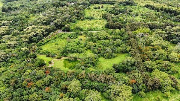 2 Acres of Residential Land for Sale in Pahoa, Hawaii