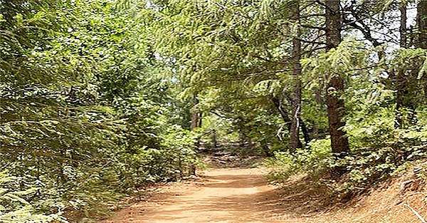 11.3 Acres of Land for Sale in Nevada City, California
