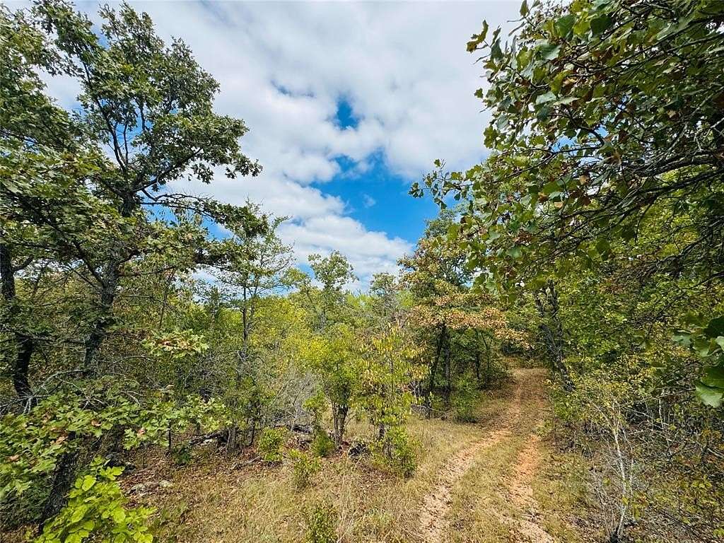 19.8 Acres of Recreational Land for Sale in Wewoka, Oklahoma