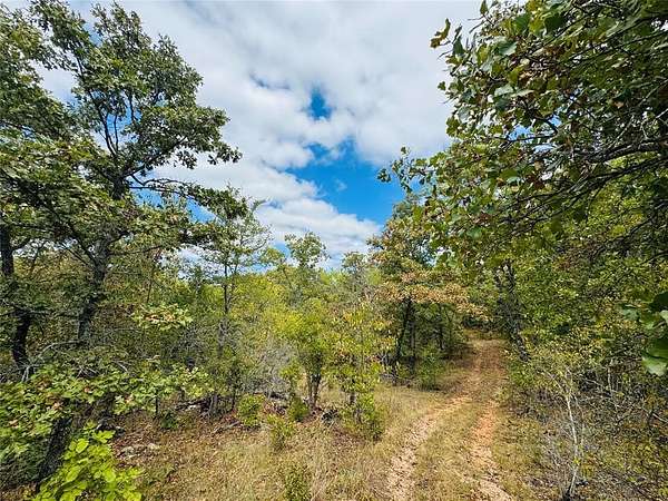 19.8 Acres of Recreational Land for Sale in Wewoka, Oklahoma